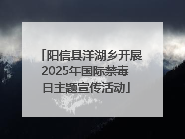 阳信县洋湖乡开展2025年国际禁毒日主题宣传活动