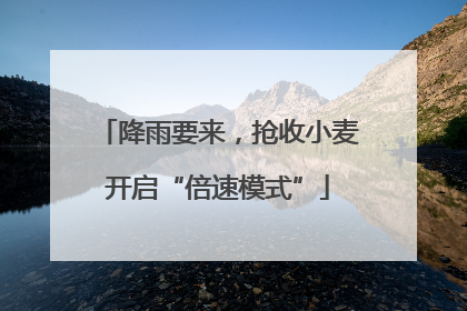降雨要来，抢收小麦开启“倍速模式”