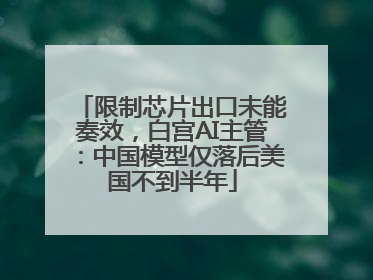 限制芯片出口未能奏效，白宫AI主管：中国模型仅落后美国不到半年