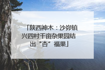 陕西神木：沙峁镇兴四村千亩杂果园结出“杏”福果