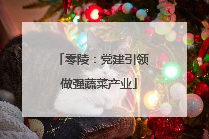 零陵：党建引领 做强蔬菜产业
