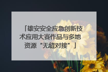 雄安安全应急创新技术应用大赛作品与多地资源“无缝对接”