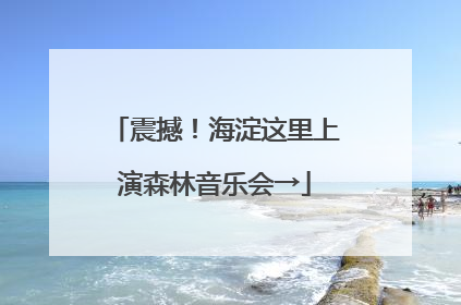 震撼！海淀这里上演森林音乐会→