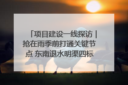 项目建设一线探访｜抢在雨季前打通关键节点 东南退水明渠四标段项目顺利完工