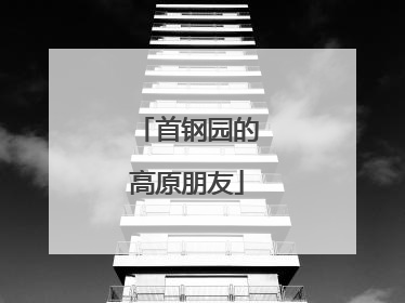首钢园的高原朋友