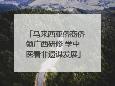 马来西亚侨商侨领广西研修 学中医看非遗谋发展