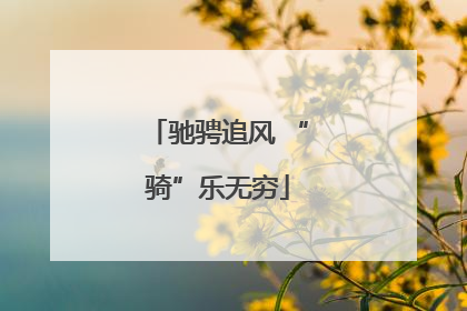 驰骋追风 “骑”乐无穷