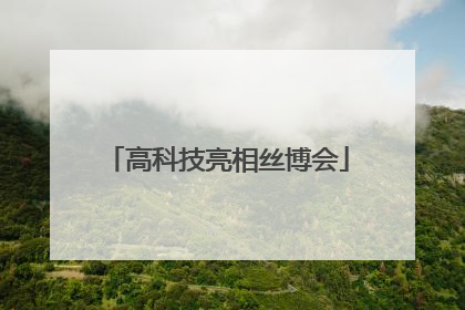 高科技亮相丝博会