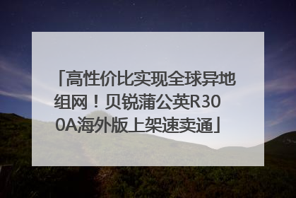 高性价比实现全球异地组网！贝锐蒲公英R300A海外版上架速卖通