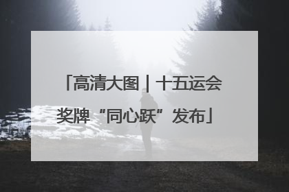 高清大图｜十五运会奖牌“同心跃”发布