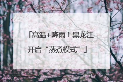 高温+降雨！黑龙江开启“蒸煮模式”