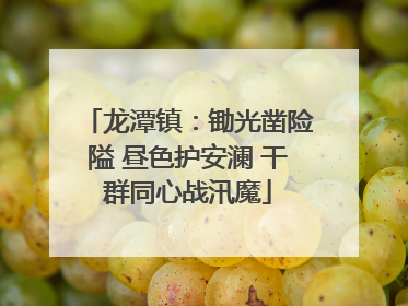 龙潭镇：锄光凿险隘 昼色护安澜 干群同心战汛魔