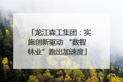 龙江森工集团：实施创新驱动 “数智林业”跑出加速度