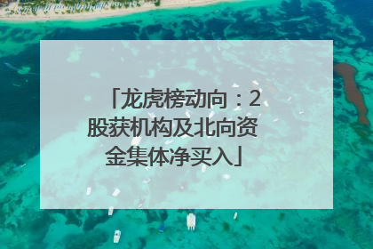 龙虎榜动向：2股获机构及北向资金集体净买入