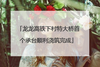 龙龙高铁下村特大桥首个承台顺利浇筑完成