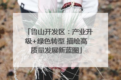 鲁山开发区：产业升级+绿色转型 描绘高质量发展新蓝图
