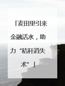 麦田里引来金融活水，助力“秸秆消失术”