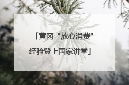 黄冈“放心消费”经验登上国家讲堂