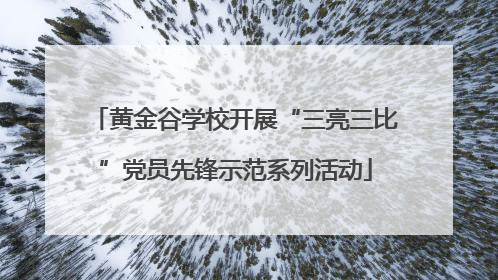 黄金谷学校开展“三亮三比”党员先锋示范系列活动