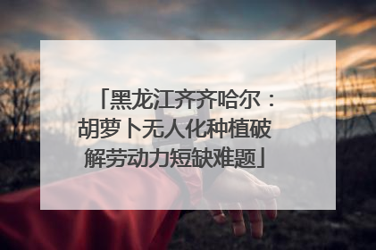 黑龙江齐齐哈尔：胡萝卜无人化种植破解劳动力短缺难题