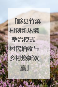 黟县竹溪村创新环境整治模式 村民增收与乡村焕新双赢