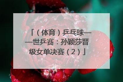 （体育）乒乓球——世乒赛：孙颖莎晋级女单决赛（2）