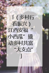 （乡村行·看振兴）江西安福“小西瓜”撬动乡村共富“大支点”