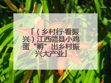 （乡村行·看振兴）江西赣县小鸡蛋“孵”出乡村振兴大产业