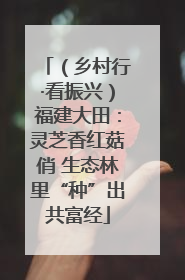 （乡村行·看振兴）福建大田：灵芝香红菇俏 生态林里“种”出共富经
