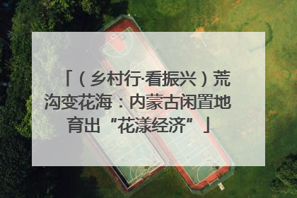 （乡村行·看振兴）荒沟变花海：内蒙古闲置地育出“花漾经济”