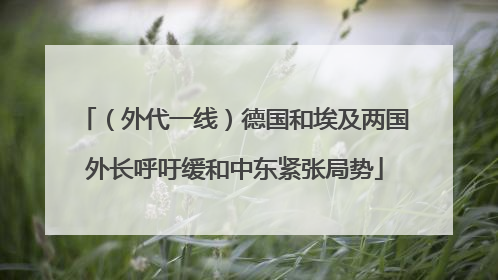 （外代一线）德国和埃及两国外长呼吁缓和中东紧张局势
