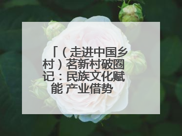（走进中国乡村）茗新村破圈记：民族文化赋能 产业借势 “网红东风”