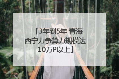 3年到5年 青海西宁力争算力规模达10万P以上