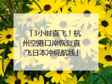 3小时直飞！杭州空港口岸恢复直飞日本冲绳航线