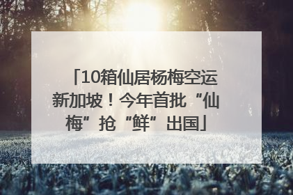 10箱仙居杨梅空运新加坡！今年首批“仙梅”抢“鲜”出国