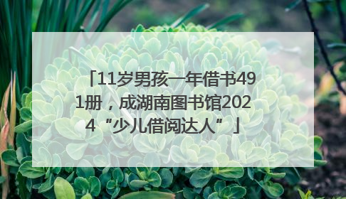 11岁男孩一年借书491册，成湖南图书馆2024“少儿借阅达人”