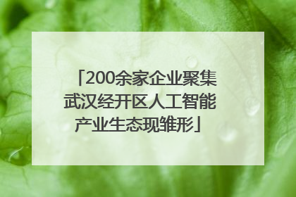 200余家企业聚集 武汉经开区人工智能产业生态现雏形