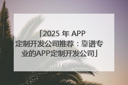 2025 年 APP 定制开发公司推荐：靠谱专业的APP定制开发公司