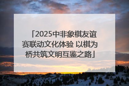 2025中非象棋友谊赛联动文化体验 以棋为桥共筑文明互鉴之路