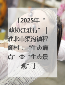 2025年“政协江淮行”｜淮北市渠沟镇程阁村：“生态痛点”变“生态景观”