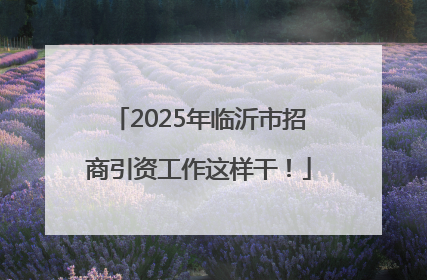 2025年临沂市招商引资工作这样干！