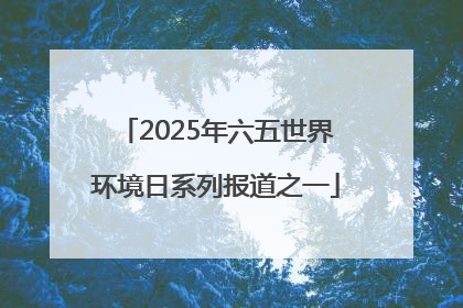 2025年六五世界环境日系列报道之一