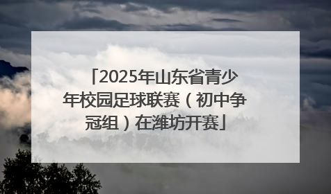 2025年山东省青少年校园足球联赛（初中争冠组）在潍坊开赛