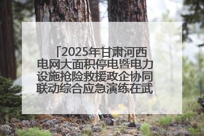 2025年甘肃河西电网大面积停电暨电力设施抢险救援政企协同联动综合应急演练在武威成功举行