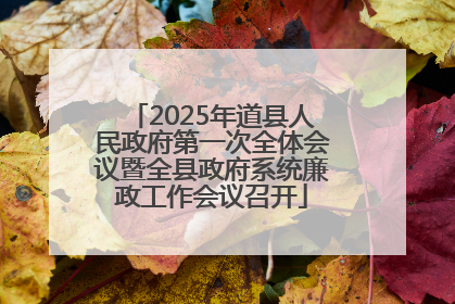 2025年道县人民政府第一次全体会议暨全县政府系统廉政工作会议召开