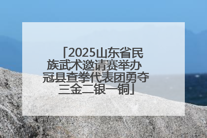 2025山东省民族武术邀请赛举办 冠县查拳代表团勇夺三金二银一铜