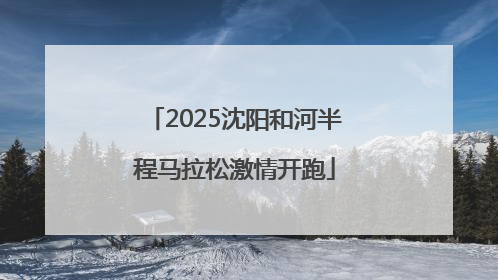 2025沈阳和河半程马拉松激情开跑