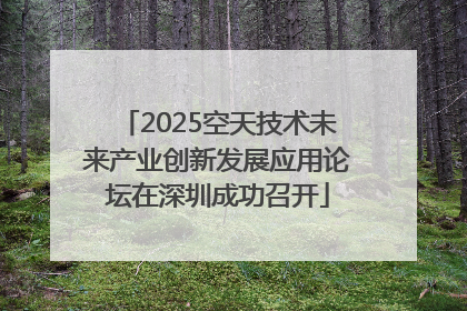 2025空天技术未来产业创新发展应用论坛在深圳成功召开