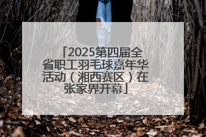 2025第四届全省职工羽毛球嘉年华活动（湘西赛区）在张家界开幕