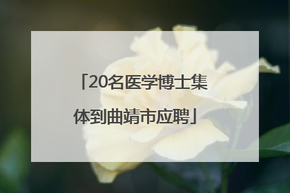 20名医学博士集体到曲靖市应聘